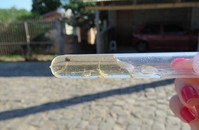 Ações de combate à dengue são intensificadas em Herval d’Oeste