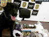 Polícia Civil fecha loja que vendia derivados de maconha