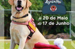 Bombeiros iniciam campanha do agasalho em SC