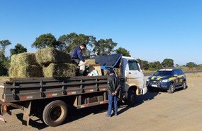PRF flagra agrotóxico escondido em carga de caminhão na BR-153