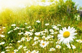 Primavera começa com sol e temperatura elevada em SC