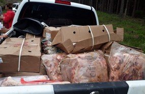 População saqueia carne de caminhão tombado na SC-350