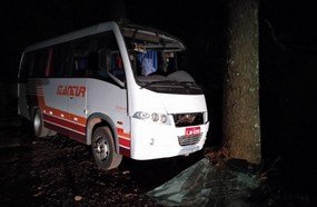 Micro-ônibus com funcionários da BRF colide em árvore