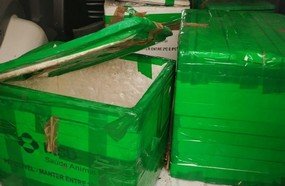Vendedor de peixes foge da fiscalização em Jaborá