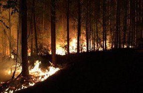 Veículo é encontrado no meio de incêndio em reflorestamento
