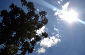Semana começa ensolarada em Santa Catarina