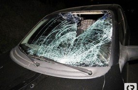 Homem fica gravemente ferido em atropelamento na BR-282