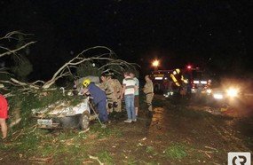 Árvore cai sobre veículo e deixa motorista preso às ferragens