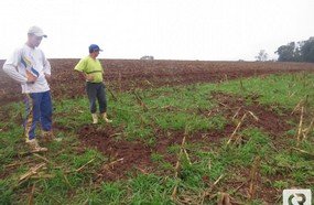 Família afirma que raio caiu em Herval d´Oeste