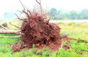 Novas fotos mostram intensidade da tempestade