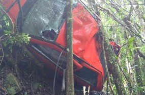 Veículo fica preso em árvores após despencar em ribanceira