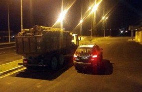 PRF apreende caminhão com toras de araucária na BR-282