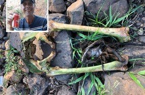 Ossada encontrada em Lacerdópolis era de hervalense desaparecido