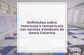 Rede estadual divulga datas de matrículas e rematrículas
