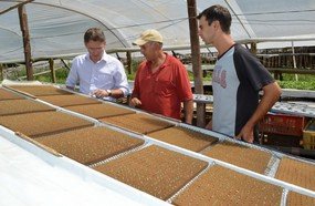 Tradição e tecnologia para produção de hortaliças em Joaçaba