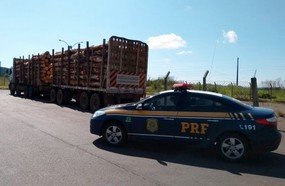 Caminhão de toras é flagrado com excesso de peso na BR-153