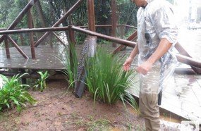 Policial encontra tampa de caixão no Rio do Peixe
