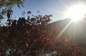 Inverno ameno e primavera com elevação na temperatura