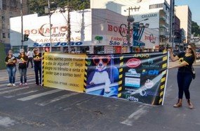 Acadêmicos de psicologia realizam ação na semana do trânsito