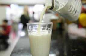 Aumento da oferta faz preço do leite despencar em SC