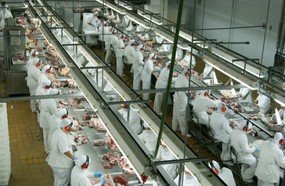 SC comemora abertura do mercado indiano para a carne suína