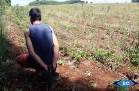 Tentativa de roubo: adolescente é sedado e amarrado