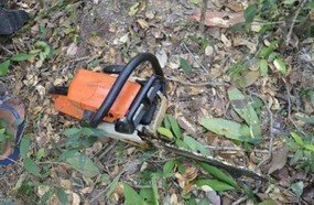 Homem morre ao ser atingido por árvore em Irani