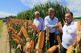 Pinho Moreira participa da abertura do Dia de Campo Copercampos