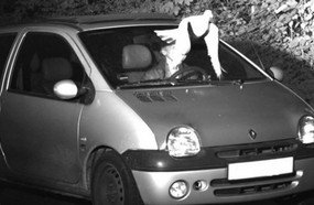 Pombo livra motorista de ser multado por excesso de velocidade