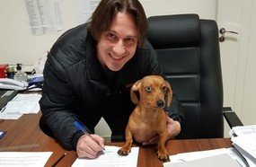 Projeto prevê mês de outubro para ações em defesa dos animais