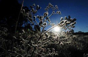 Temperatura se eleva em Santa Catarina nesta semana