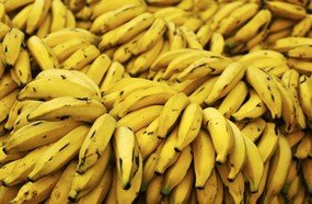 Quase meia tonelada de banana foi adquirida para lanches do CRAS
