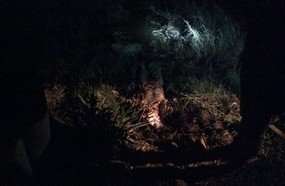 Homem é encontrado morto com golpes de faca em Concórdia