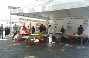 Exposição de produtos da agricultura familiar nesta quarta