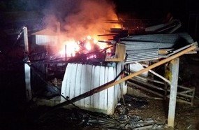 Bombeiros salvam cavalo puro sangue de galpão em chamas