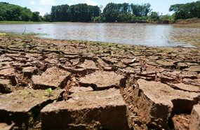 Estado destina recursos aos municípios afetados pela estiagem