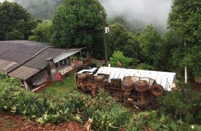 Motorista que faria entrega de ração morre ao tombar caminhão