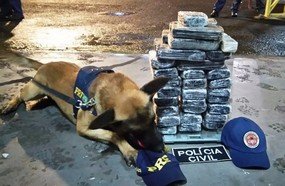 PRF apreende mais de 30 kg de crack em veículo de Herval d´Oeste