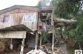 Vento derruba árvore sobre residências em Herval d´Oeste