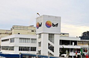 BRF de Concórdia é habilitada para exportar suínos ao Vietnã
