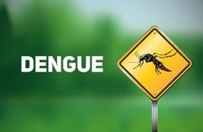 Joaçaba se mobiliza no combate ao Aedes Aegypti